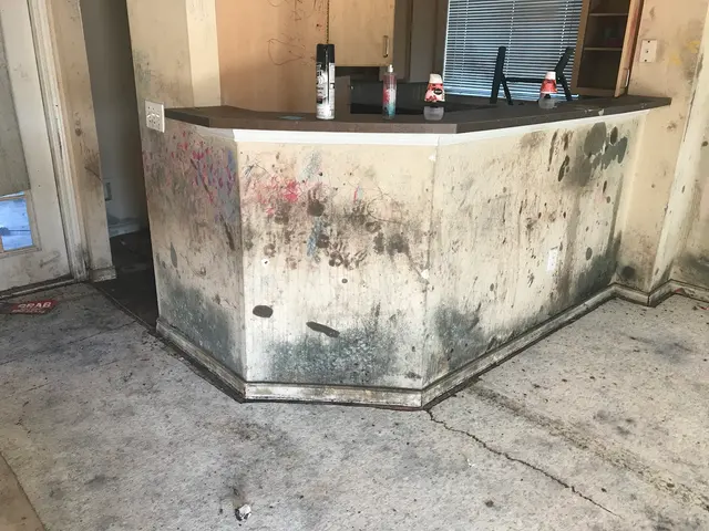 Texas Mold Testing, LLC — photo from the business 3