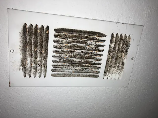 Texas Mold Testing, LLC — photo from the business 6
