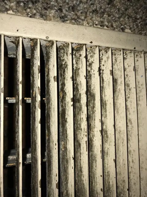 Texas Mold Testing, LLC — photo from the business 7