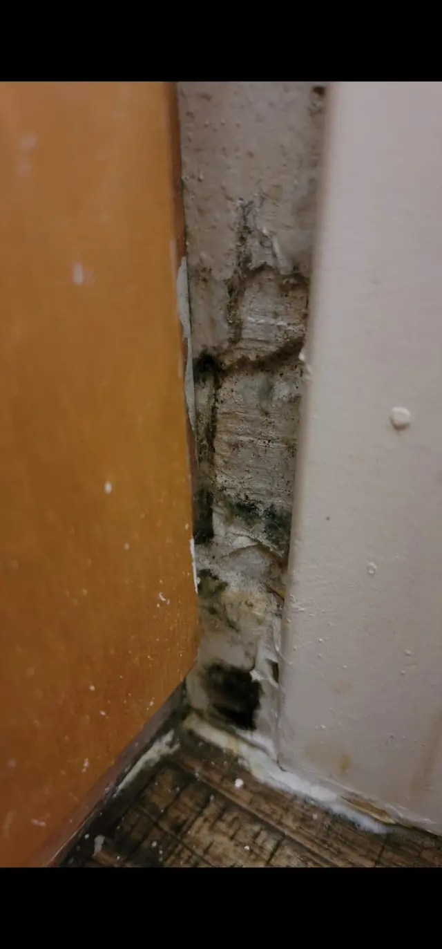 Mold Busters Fort Worth — customer photo 1