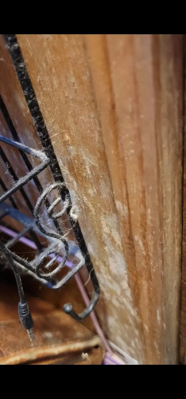 Mold Busters Fort Worth — customer photo 6