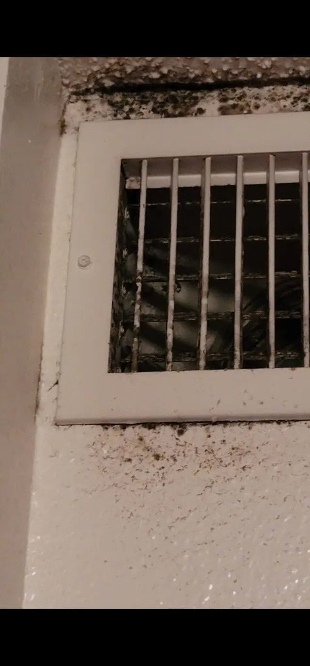 Mold Busters Fort Worth — customer photo 2