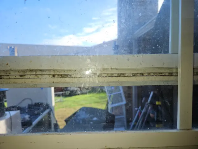Mold Inspection Sciences of Dallas — customer photo 9