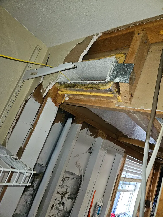 Mold Inspection Sciences of Dallas — customer photo 8
