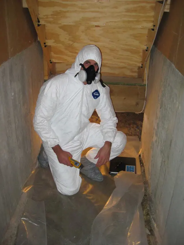 Mold Inspection Sciences of Dallas — photo from the business 2