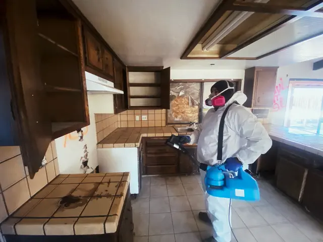 Mold Testing & Mold Removal Services Dallas — photo from the business 10