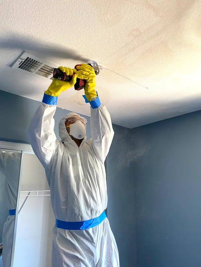Mold Testing & Mold Removal Services Dallas — photo from the business 9