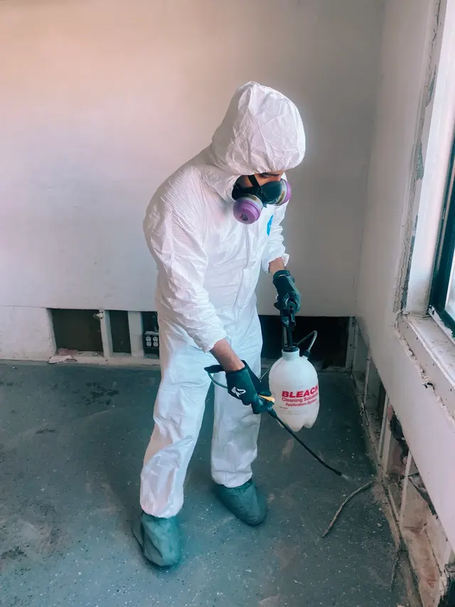 Mold Testing & Mold Removal Services Dallas — photo from the business 8