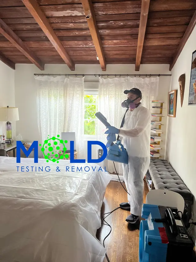 Mold Testing & Mold Removal Services Dallas — photo from the business 7