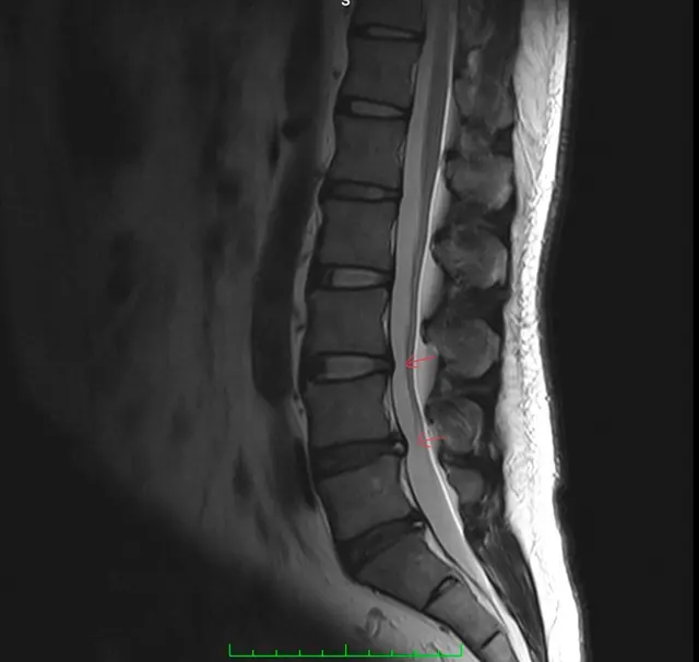 Pain Control & Sports Medicine, Acupuncture Clinic - Dr. Ava Zhang — photo from the business 12