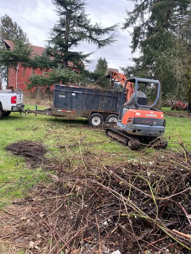 Fast N Easy Junk Removal — photo from the business 10