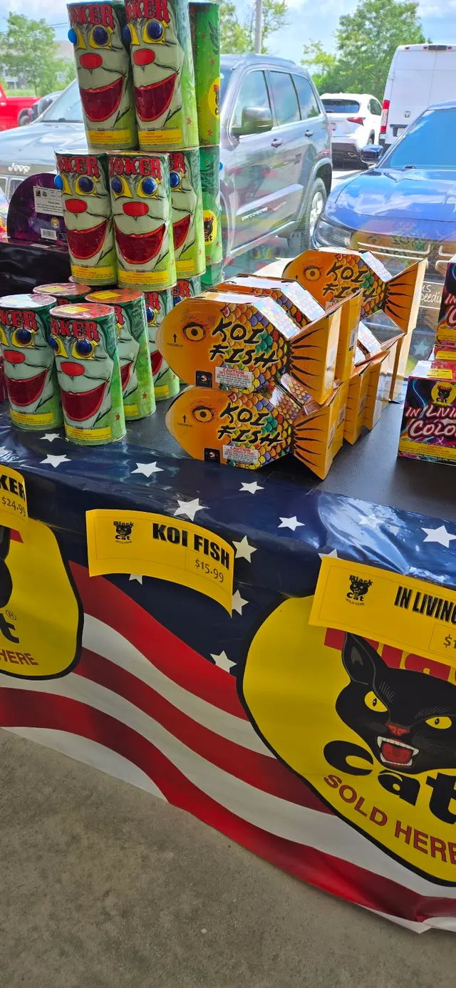Allswick fireworks — customer photo 3