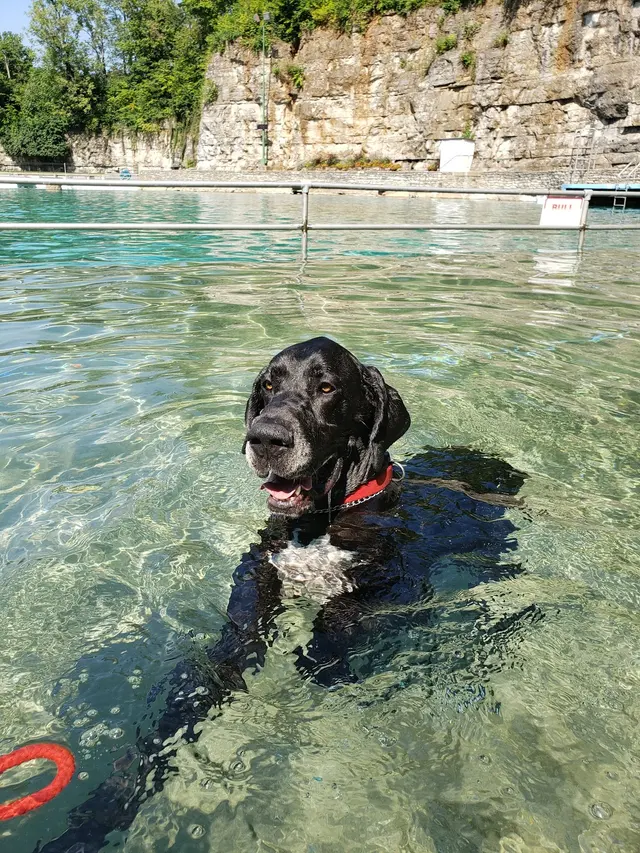 Lakeside Swim Club — customer photo 5