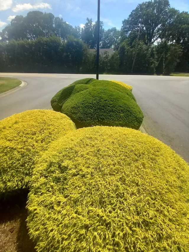 Woods of St Thomas Club — customer photo 1