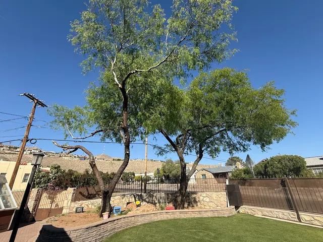 Complete Lawn Care — customer photo 3