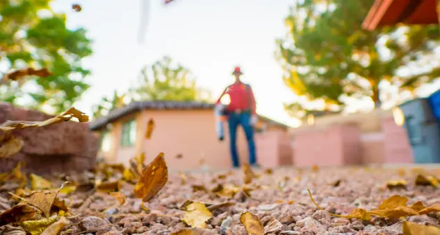 Complete Lawn Care — photo from the business 11