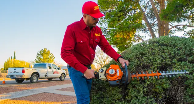 Complete Lawn Care — photo from the business 10