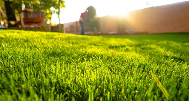 Complete Lawn Care — photo from the business 9