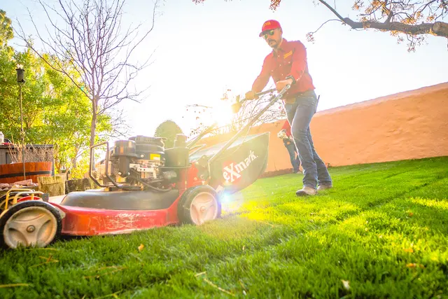 Complete Lawn Care — photo from the business 5