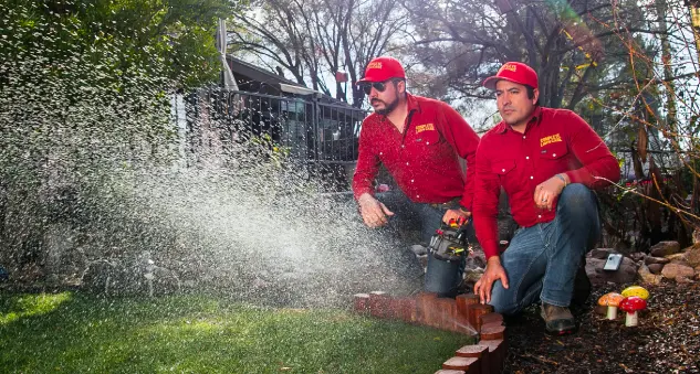 Complete Lawn Care — photo from the business 4