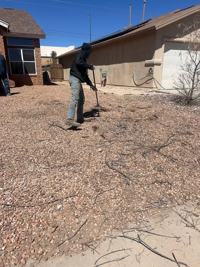 R&M tree service — photo from the business 9