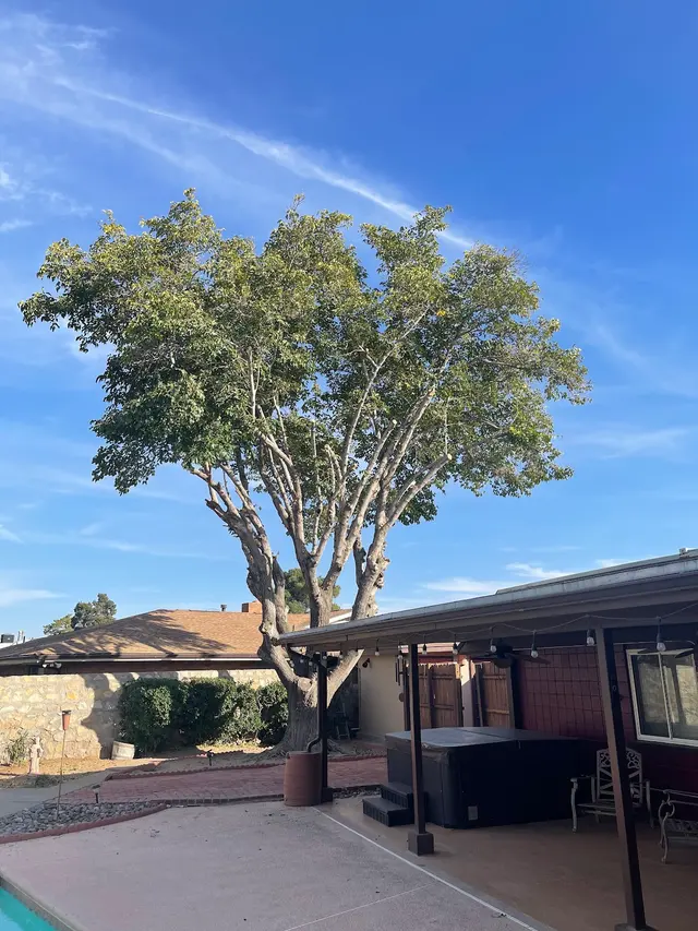 Customer photo from Luis's review