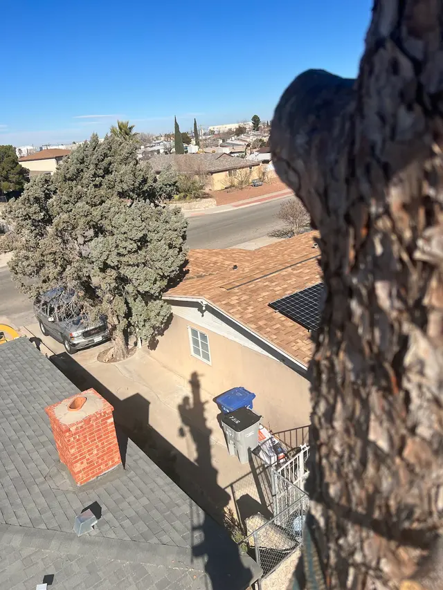 R&M tree service — photo from the business 5