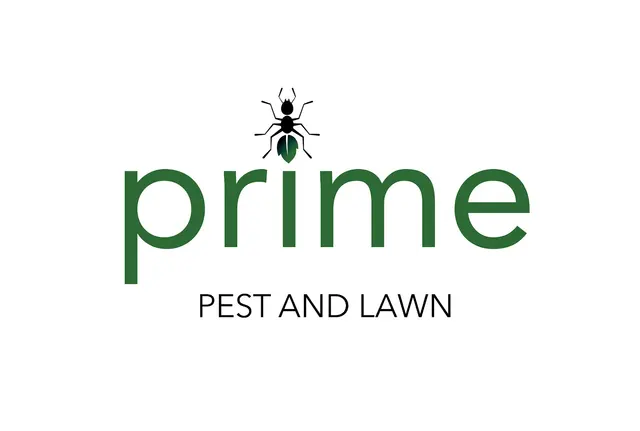 Prime Pest and Lawn - El Paso — photo from the business 9