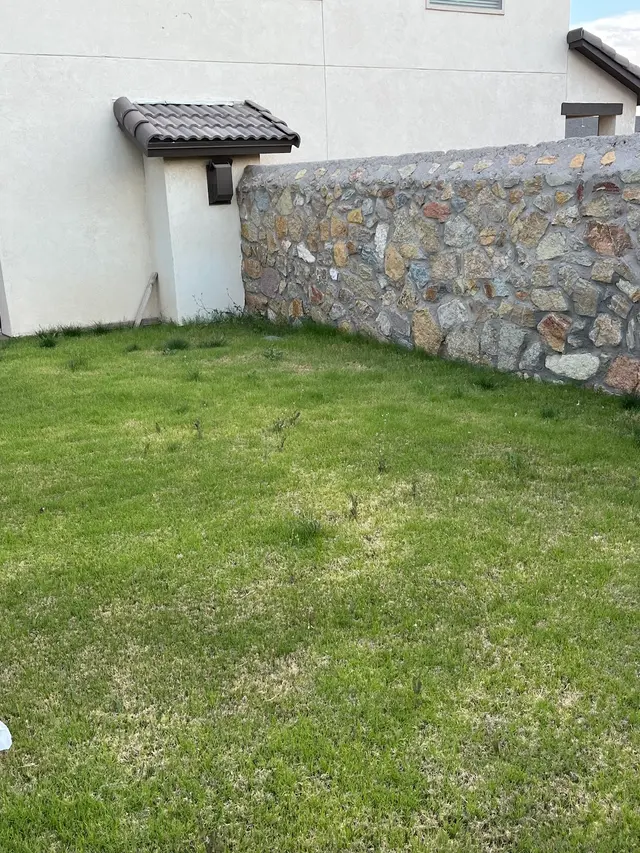 Prime Pest and Lawn - El Paso — customer photo 7