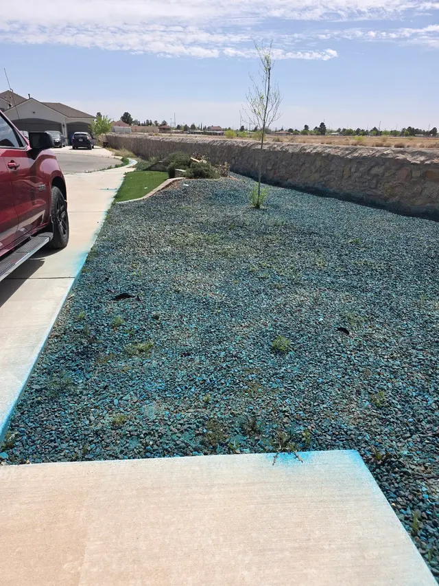 Prime Pest and Lawn - El Paso — customer photo 1