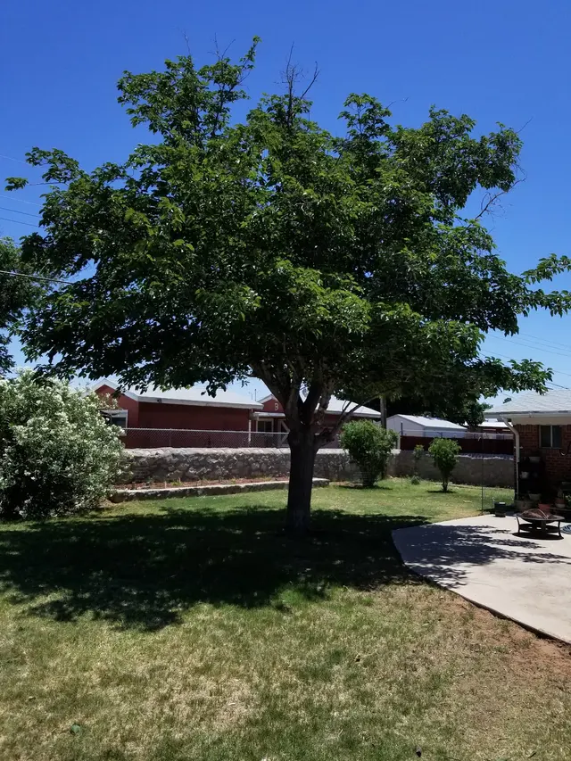 AandV Lawn and Landscaping LLC — photo from the business 10