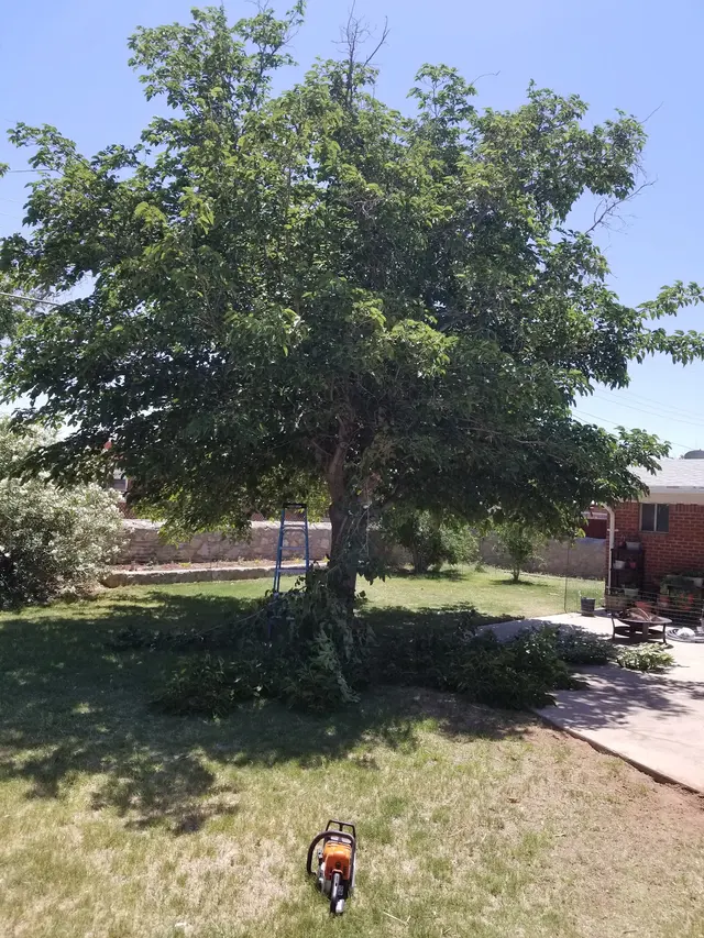 AandV Lawn and Landscaping LLC — photo from the business 2