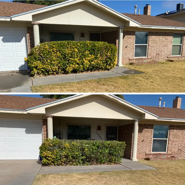 Sun City Lawn Care — photo from the business 3
