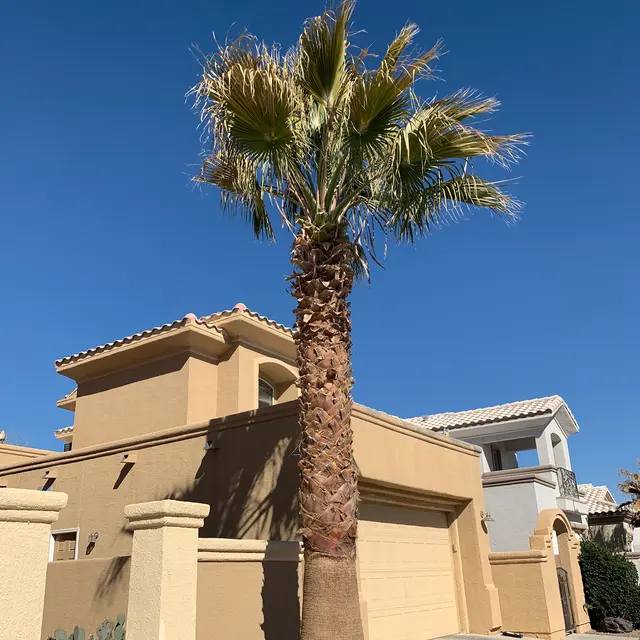Sun City Lawn Care — photo from the business 6