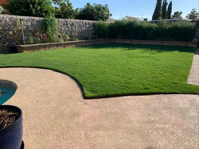Sun City Lawn Care — photo from the business 2
