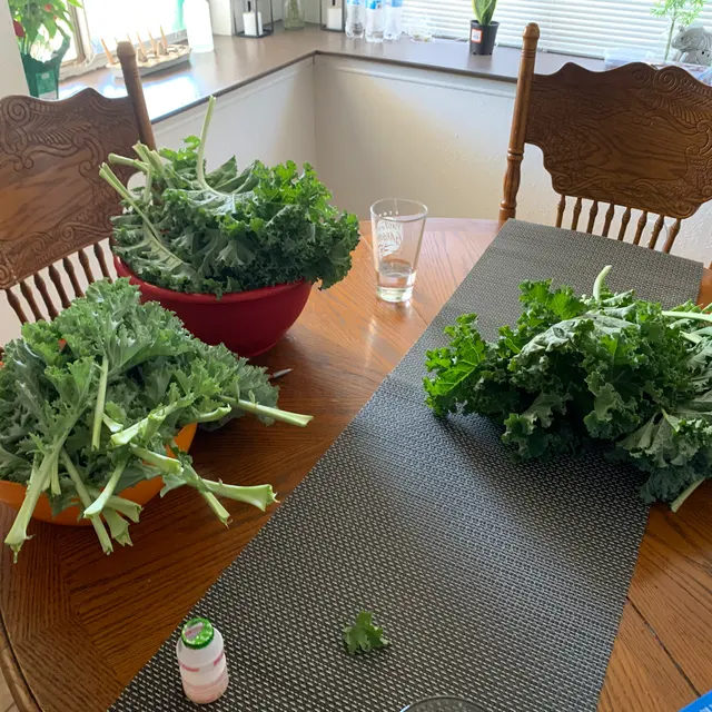 Sun City Lawn Care — photo from the business 11