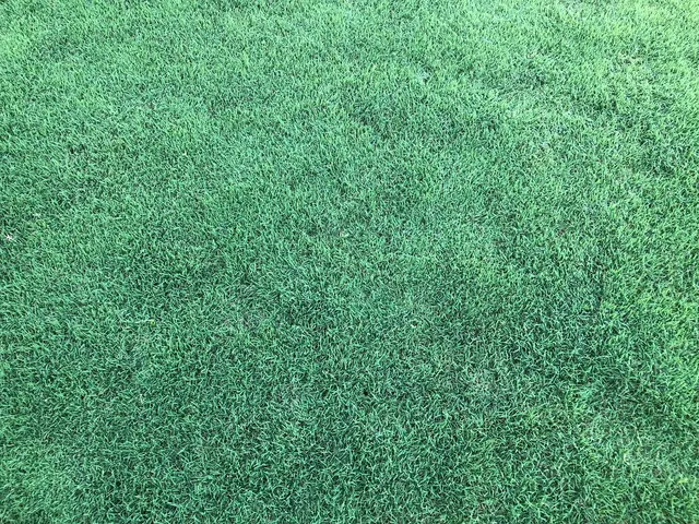 Customer photo from grassthief's review