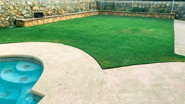 Sun City Lawn Care — photo from the business 1