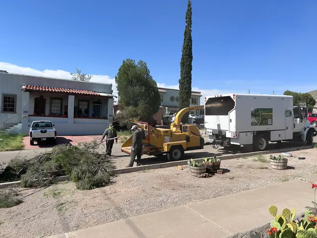 Customer photo of work by Daniel’s Tree & Landscaping, Inc., from Suzanne S's review