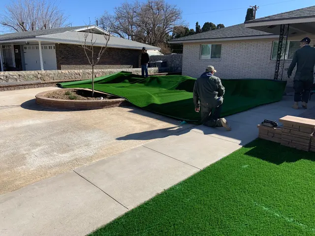 Daniel’s Tree & Landscaping, Inc. — photo from the business 9