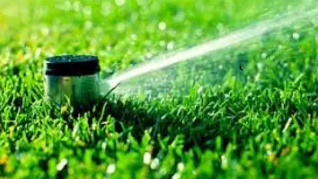 SP & LC Sprinklers and Landscape Contractors — photo from the business 9