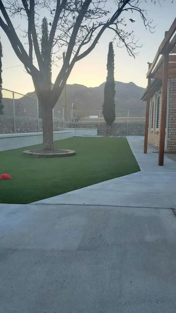 SYNLawn El Paso — photo from the business 12