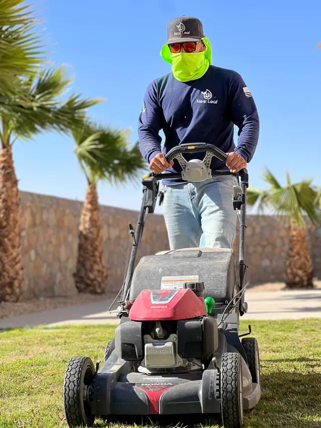 NEW LEAF LAWN & PROPERTY CARE, LLC — photo from the business 10