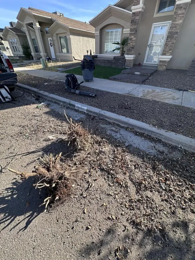 Customer photo of work by NEW LEAF LAWN & PROPERTY CARE, LLC, from Demrick Guilford's review