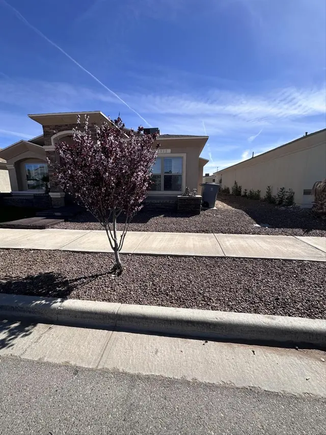 Customer photo of work by NEW LEAF LAWN & PROPERTY CARE, LLC, from Demrick Guilford's review