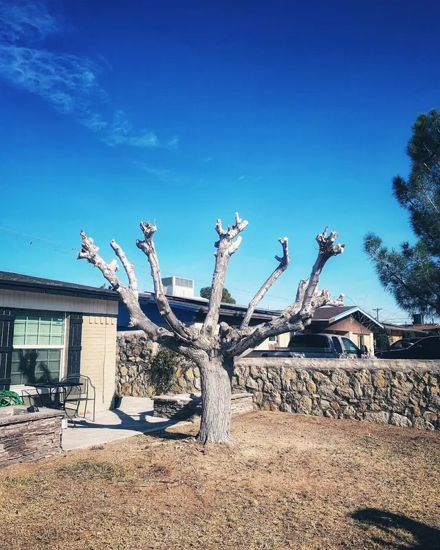 NEW LEAF LAWN & PROPERTY CARE, LLC — photo from the business 7