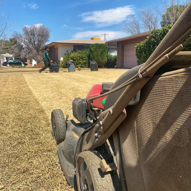 NEW LEAF LAWN & PROPERTY CARE, LLC — photo from the business 12