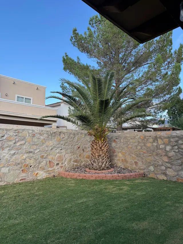 El Paso Lawn & Maintenance Care — customer photo 11