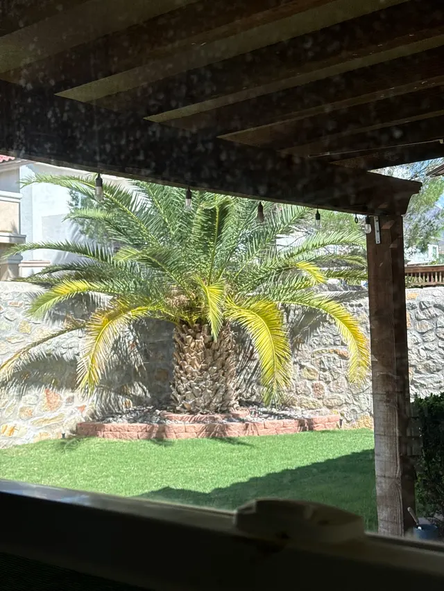 Customer photo of work by El Paso Lawn & Maintenance Care, from Stephanie Vu's review