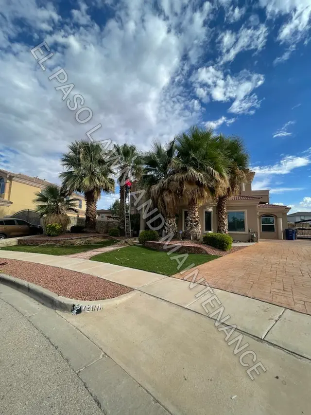 El Paso Lawn & Maintenance Care — photo from the business 2